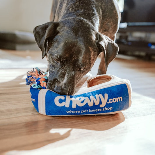 Interactive Puzzle Dog Toy - Premium Quality - dog - Bilde 2